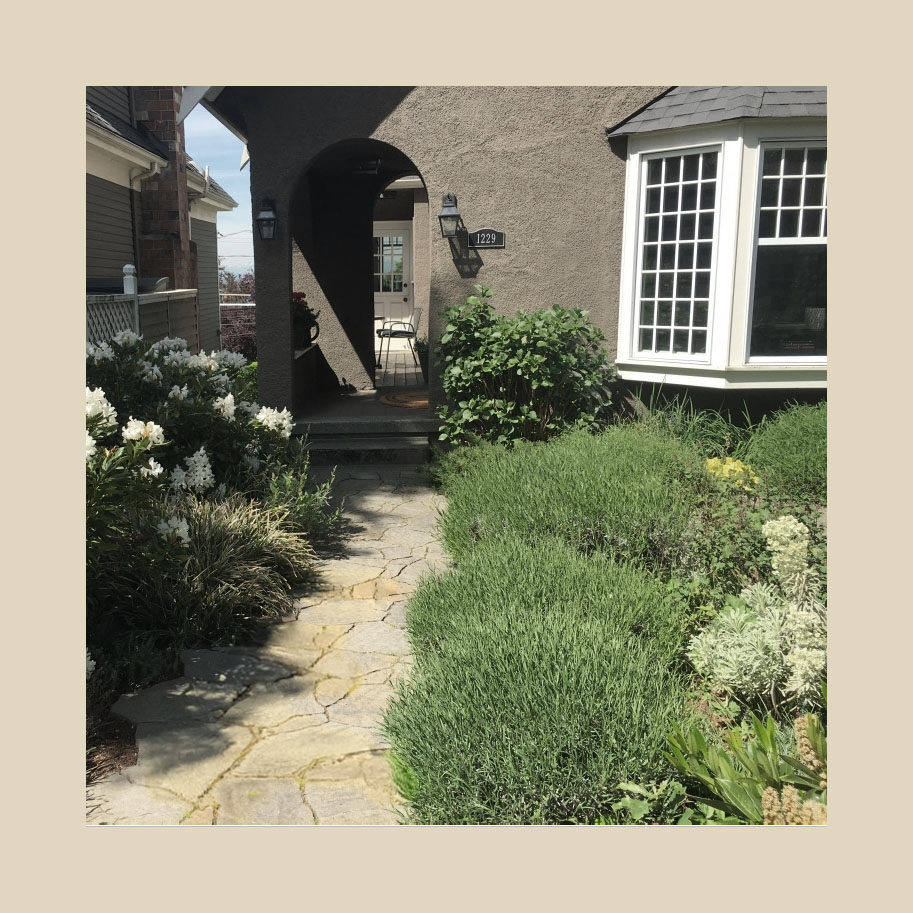 Modern Craftsman Cottage Entry Garden
